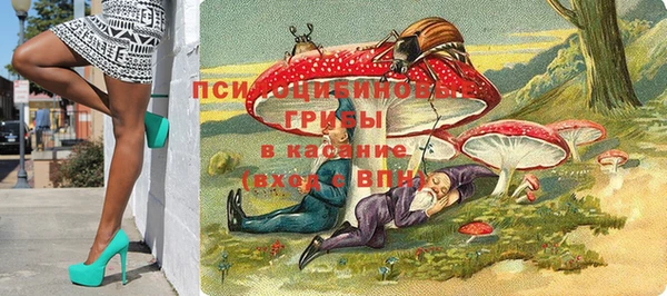 герыч Осинники