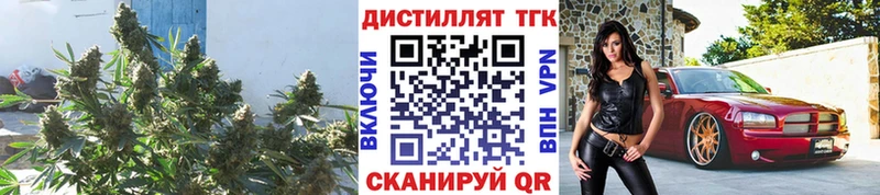 Купить закладки  Чёрмоз  ТГК жижа 