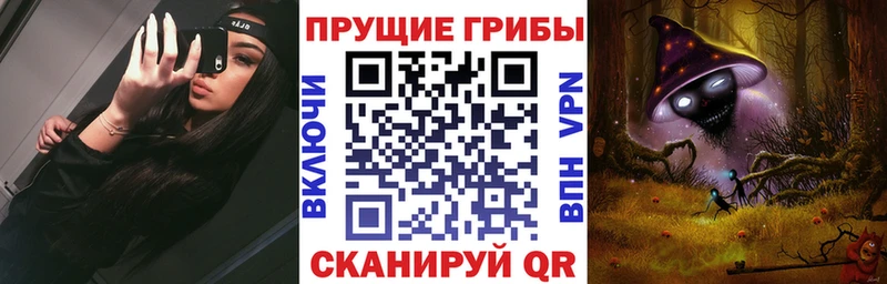 Купить закладки  Чёрмоз  Галлюциногенные грибы Magic Shrooms 